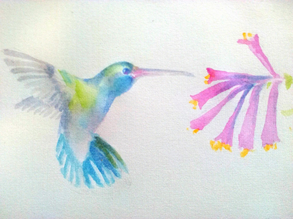 Generic Hummingbird in Watercolors