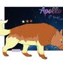 Apollo Revamp