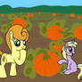Pumpkin Patch Commission