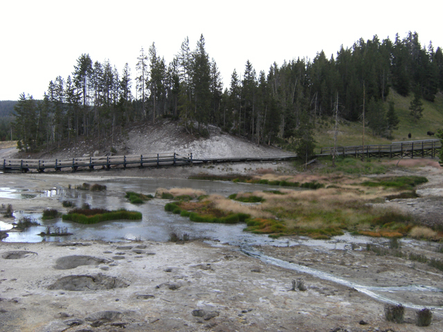 Walking Around Yellowstone