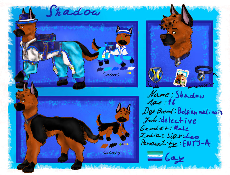 Shadow reference sheet by Akay958 on DeviantArt
