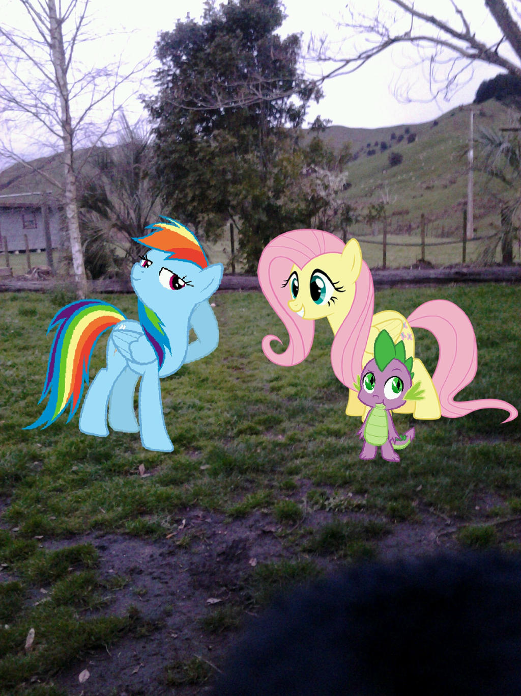 mlp real life by ChloeDRAWScreepystuf on DeviantArt