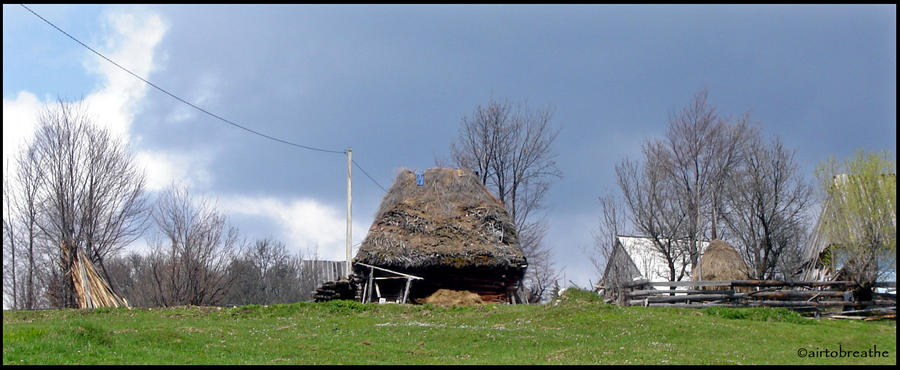 Lonely home