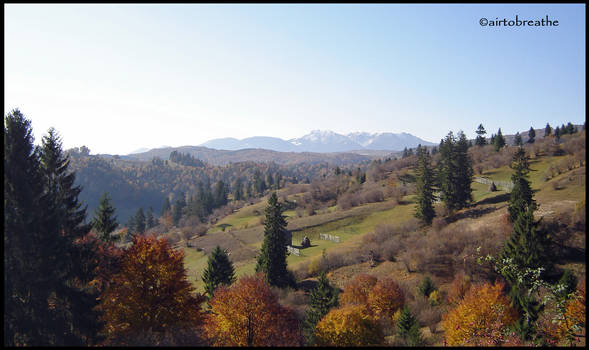 Autumn Landscape