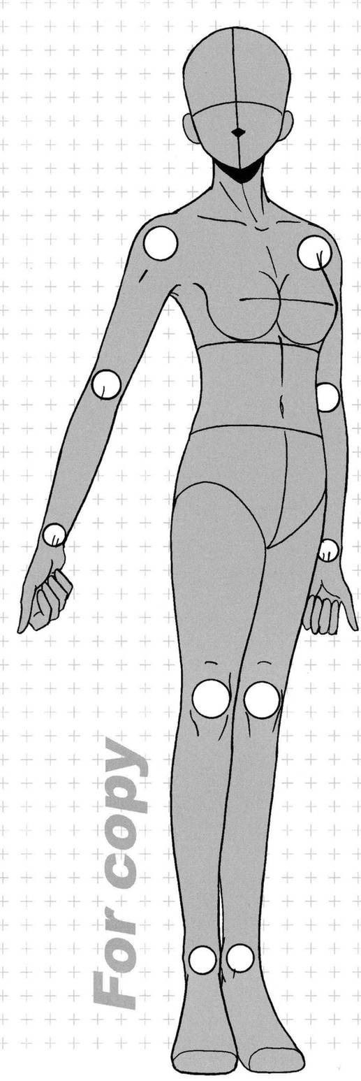 Base Model Graphic Base Model 5 by SquidwardBases on DeviantArt