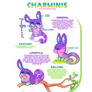 Charminis - Basic Info Card