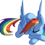 One sleeping Rainbow Dash