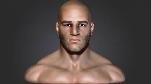 Human male bust