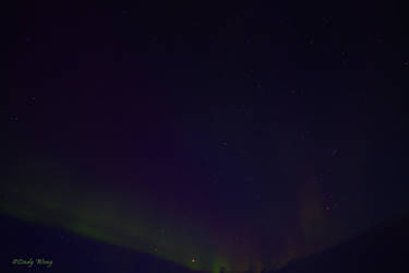 Aurora Borealis with a falling star