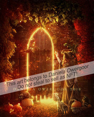 Magic Night II by Dani-Owergoor Magic Night II by Dani-Owergoor