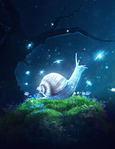 The Magic of the Night by Dani-Owergoor The Magic of the Night by Dani-Owergoor
