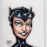 Catwoman PSC 02