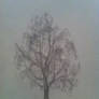 tree 2