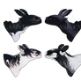 Nightfury adopts (3/4 open)