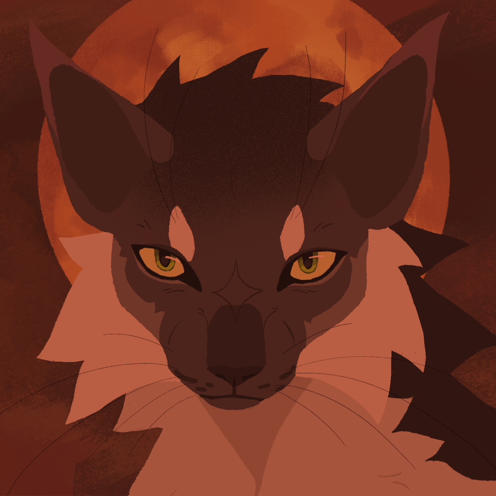 Spring Fire Star Firestar Gifs at Joel Lennon blog