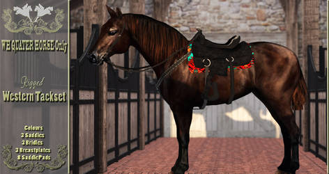 WH Riding Horse Western Tack