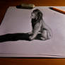 Simba sketch