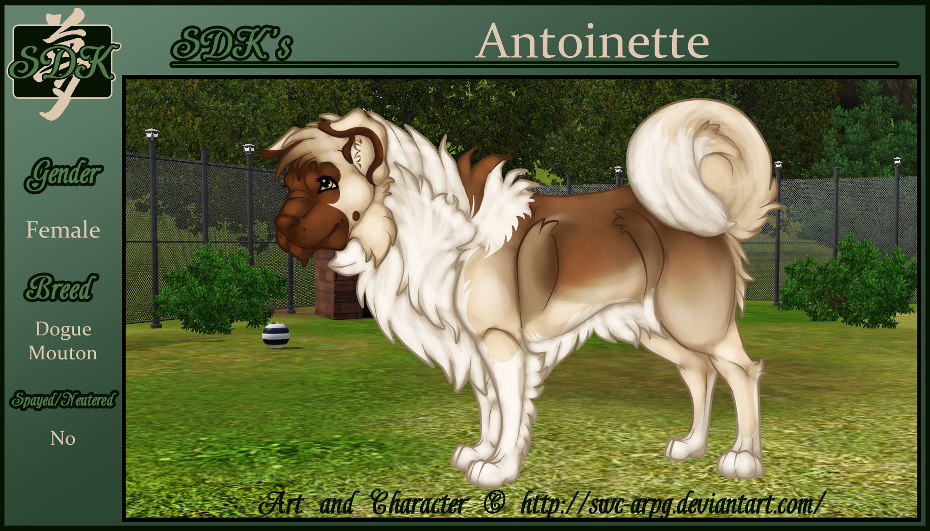 SDK's Antoinette