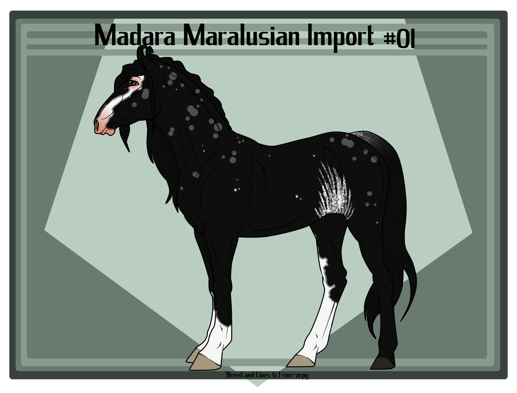 Madara Maralusian Import 01