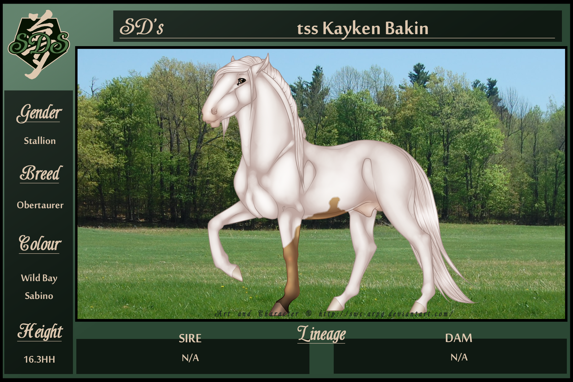 SD's tss Kayken Bakin