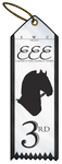 EEE Third Place Ribbon by x-SWC-x