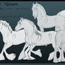 Lineart Batch 5 - Draft Type Horses