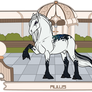 Aulus