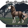 SD's RPS Tyskie