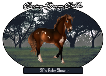 SD's Baby Shower