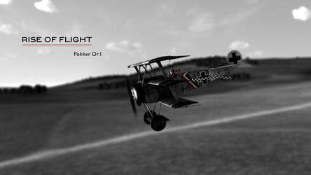 Rise of Flight- Dr.1