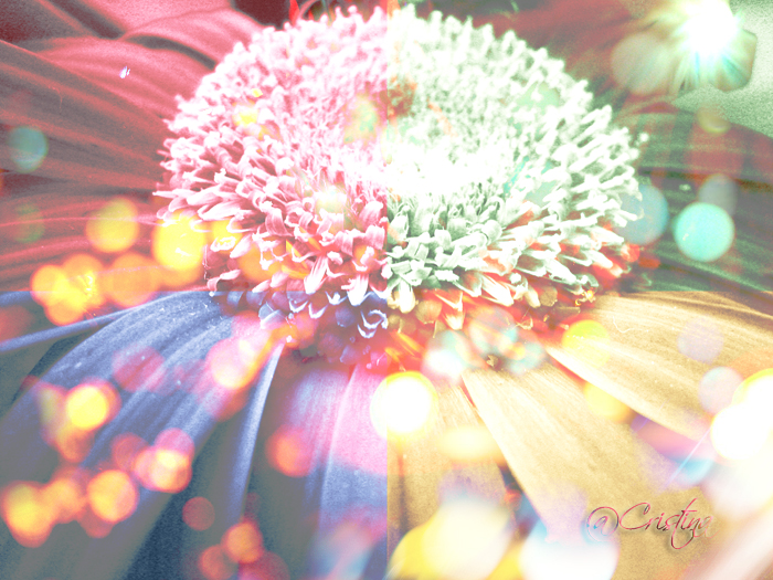 Fantasy flower