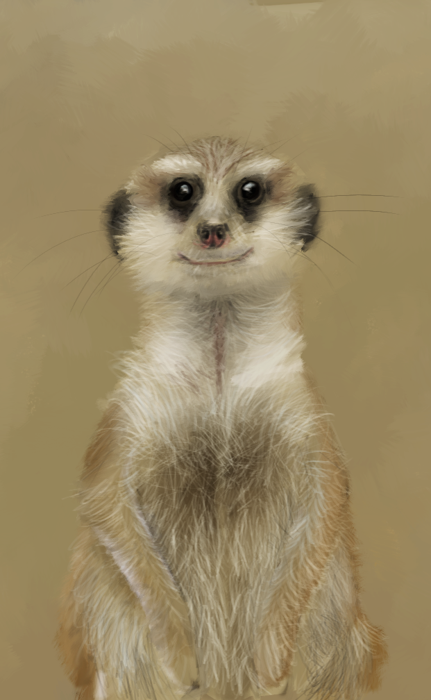 Meershirekat