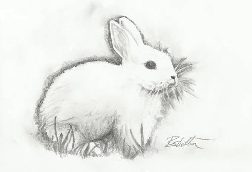 Bunny