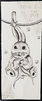 Lapin illustration 