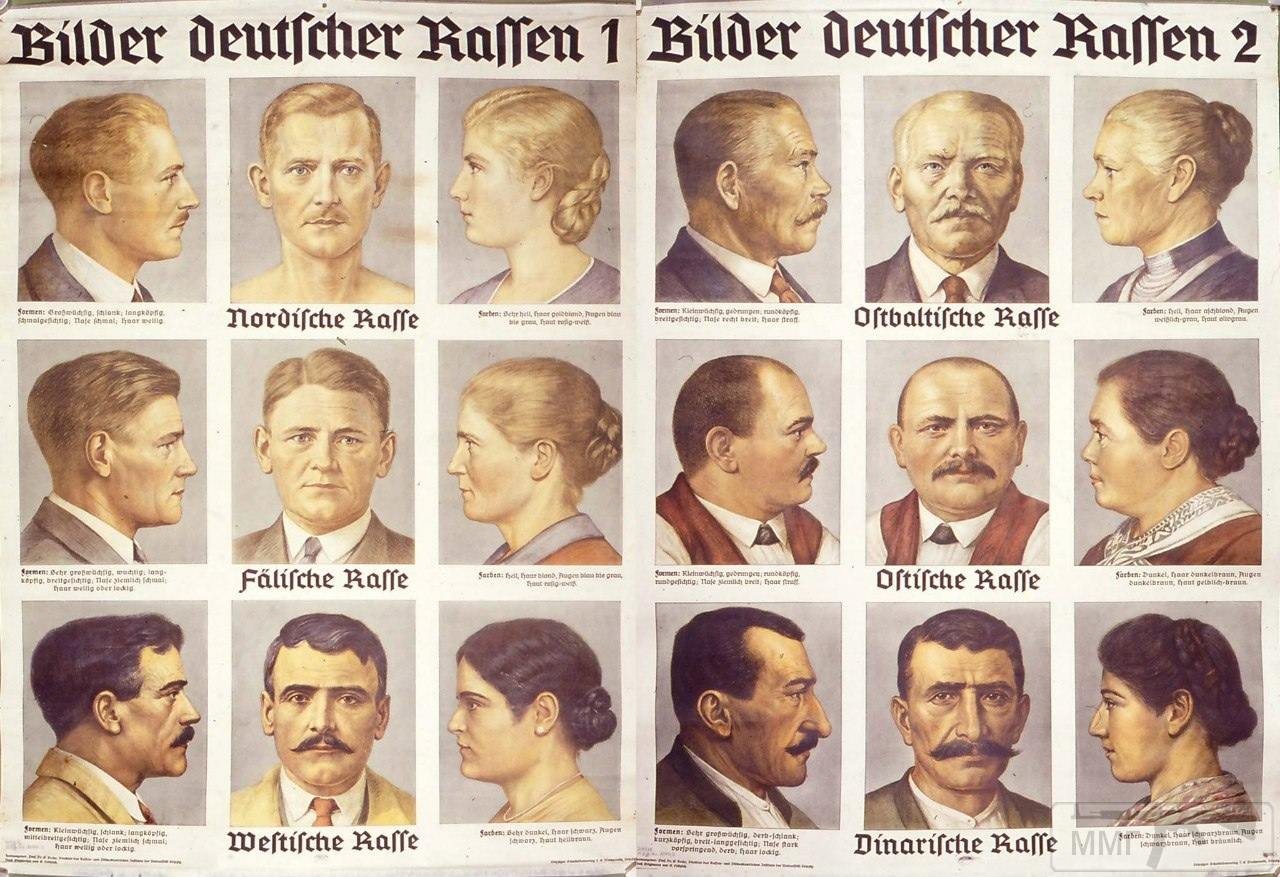 Mehr Rassen German races by RJDETONADOR97 on DeviantArt