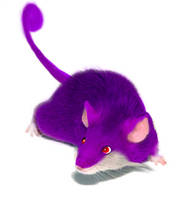 Real Life Pokemon - Mew by HeyZabava on DeviantArt