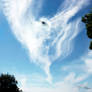 cloudhawk