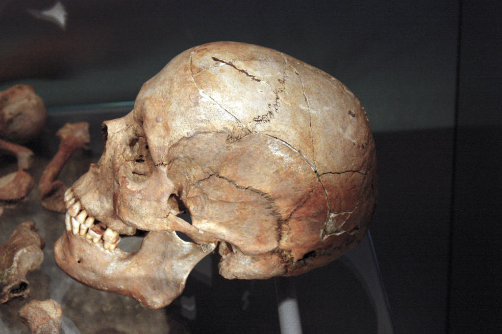 roman skull no4