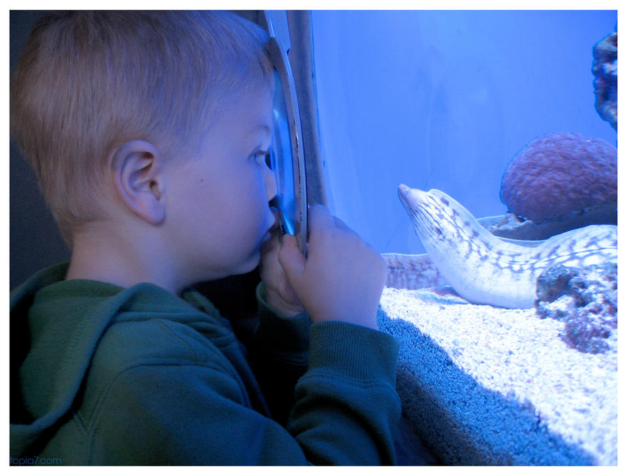 Lucas meets a Moray