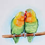 lovebirds