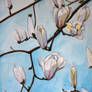 White magnolias