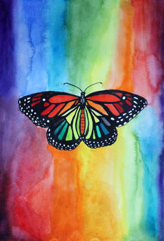 Rainbow butterfly