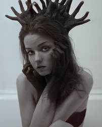 Faun from my own forest
