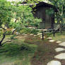 Garden in Nara, 4