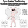 OPEN SPECIES - The Jitterbug