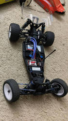 Naked Team Associated B5m stock racing buggy