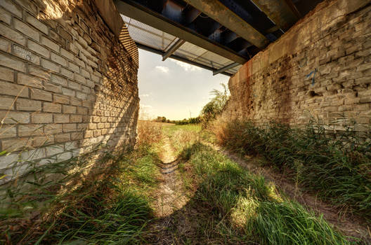 Under the Bridge