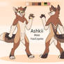 Ashkii Reference Sheet