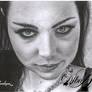 Amy_Lee