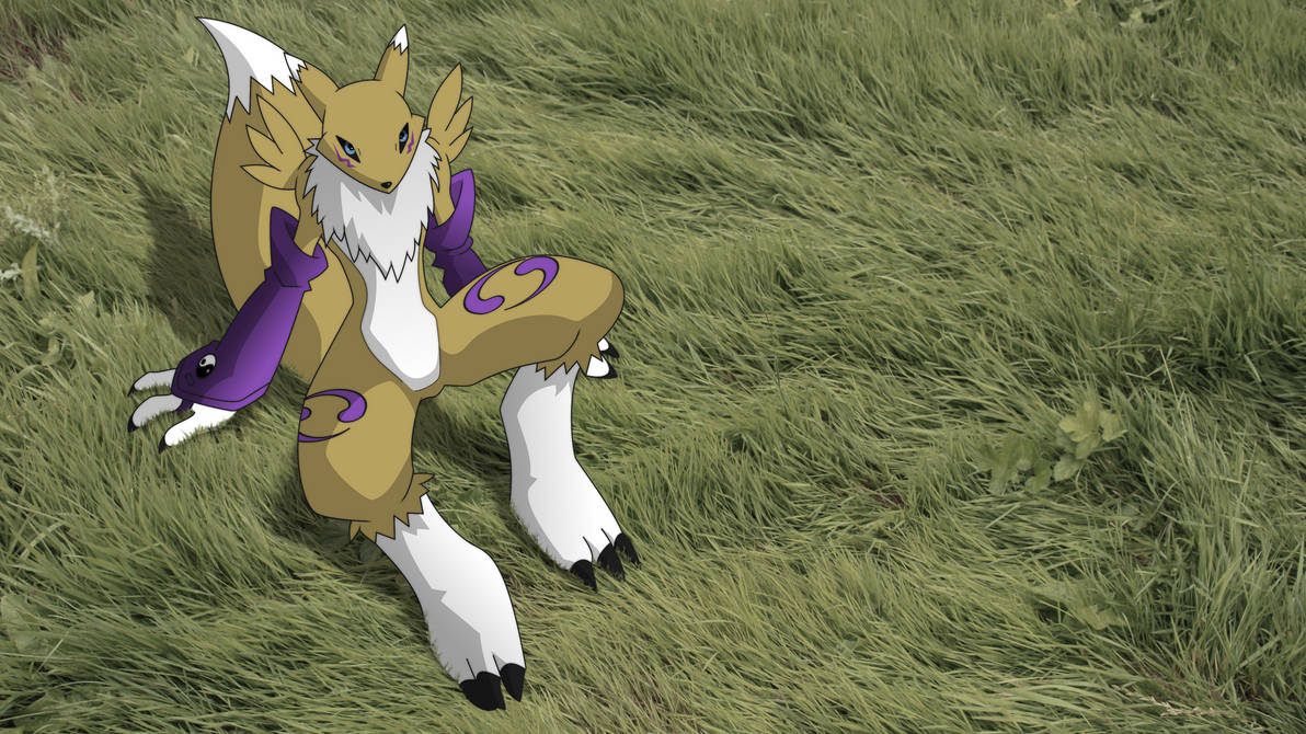 Renamon Computer Renamon Wallpaper by Eisenknurren on DeviantArt